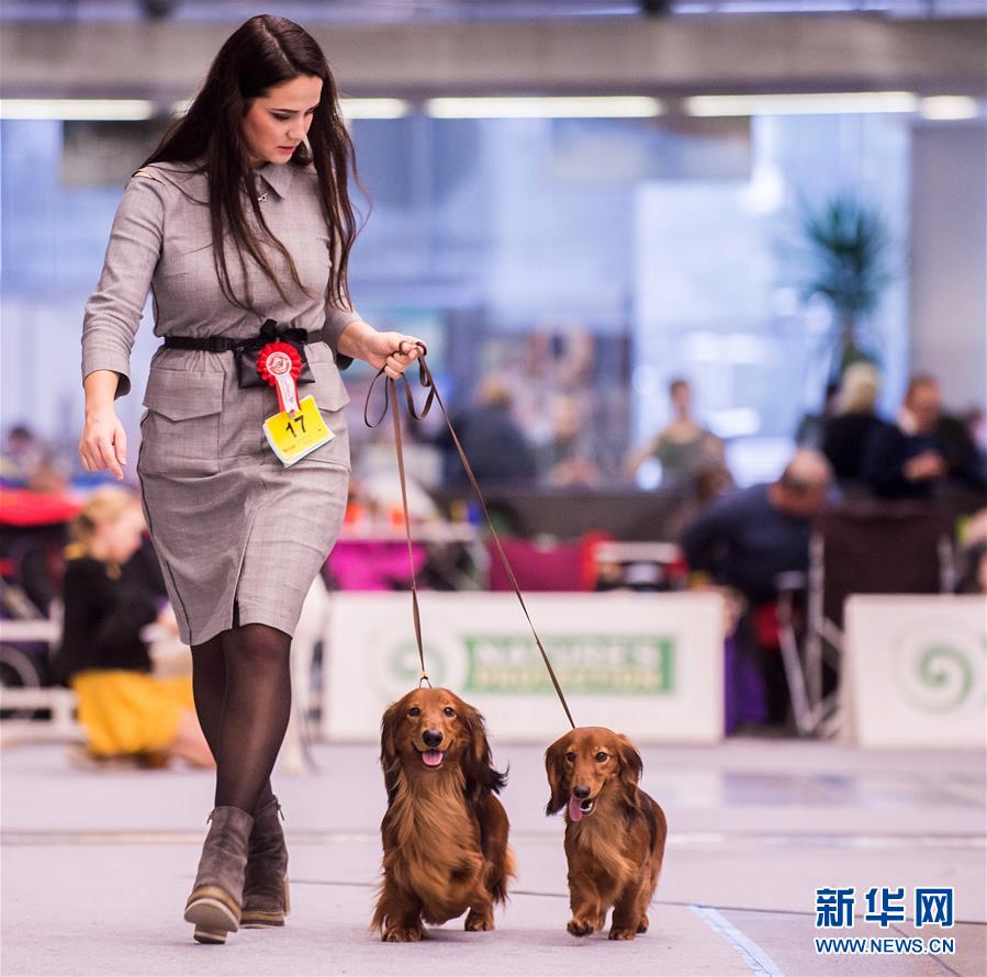 太阳城集团-立陶宛和韩国举办精彩对决，无人可挡